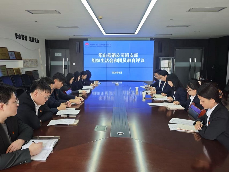 ​华山营销公司团支部召开组织生活会暨团员教育评议会议