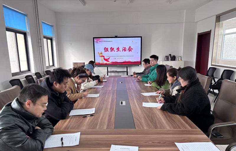 强思想，提本领，促团结——物贸公司团支部召开组织生活会
