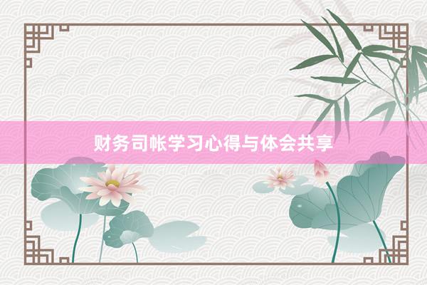 财务司帐学习心得与体会共享