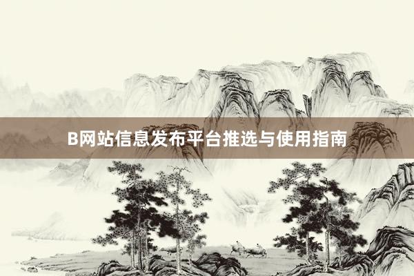 B网站信息发布平台推选与使用指南