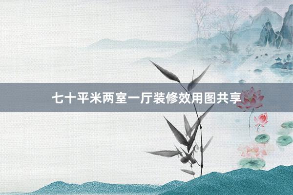 七十平米两室一厅装修效用图共享